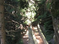 20090813 058