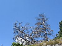 20090813 097