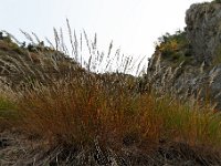 20101009 067