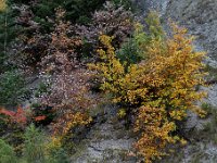 20101009 076