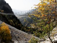 20101009 093