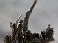 20101009 103