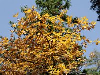 20101009 122