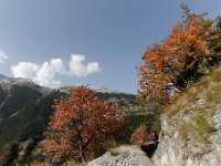 20101009 148