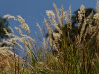 20101009 152