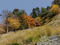 20101009 153