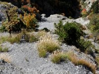 20101009 178