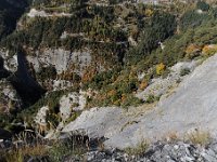 20101009 180