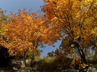 20101009 191