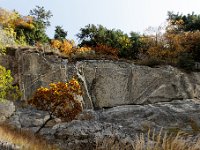 20101009 207