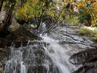 20101009 210