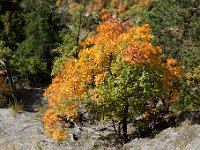 20101009 226
