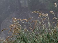 20160917 0064