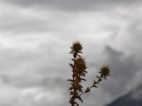 20160917 0197