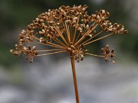 20160917 0235