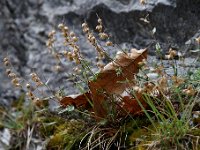 20160917 0290