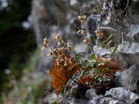 20160917 0294
