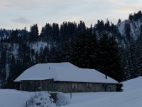 20190119 0028