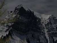 20190119 0119