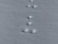 20190120 0065