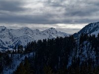 20190120 0073