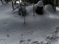20190120 0125