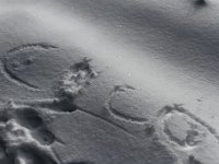 20190120 0126