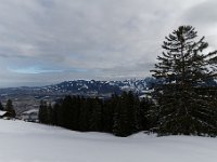 20190120 0220
