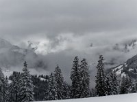 2019 01 12 0958