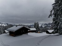 2019 01 12 0987