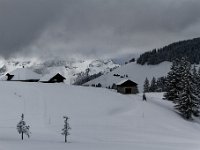 2019 01 12 0988