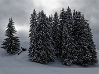 2019 01 12 1001
