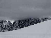 2019 01 12 1006
