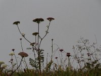 20140826 0025