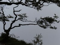 20140826 0033