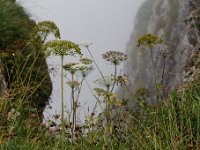 20140826 0036