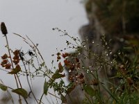 20140826 0048