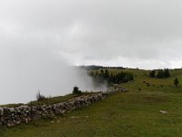 20140826 0079