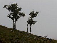 20140826 0090