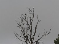 20140826 0092