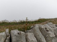 20140826 0226