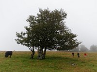 20140826 0239