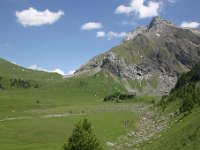 20050626 229