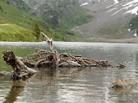 20120623 197