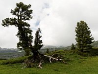 20120623 211