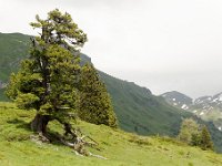 20120623 216