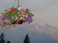 20120623 245