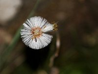 20120623 251