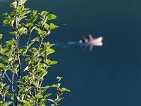 20120624 136