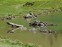 20120624 348